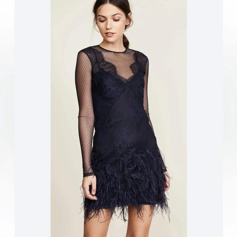 Cinq A Sept Amabella Embroidered Cocktail Dress Ditsy Mesh Feathered Hem size 4 - Picture 5 of 9
